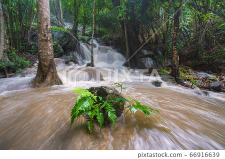 Waterfall scene at Pha Tad Waterfalls in rainforest at the Khuean Srinagarindra National Park Waterfall scene at Pha Tad Waterfalls in rainforest at the Khuean Srinagarindra National Park 66916639