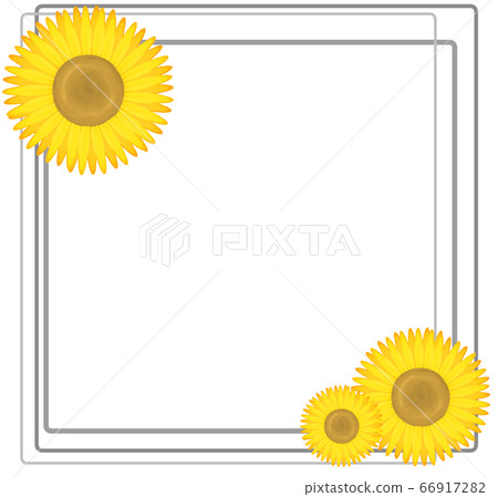 Square sunflower frame (gray) - Stock Illustration [66917282] - PIXTA