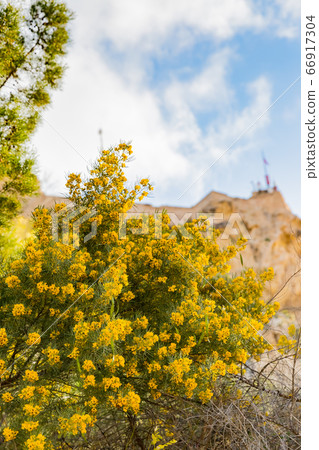 聖巴巴拉城堡 聖巴巴拉城堡 66917304