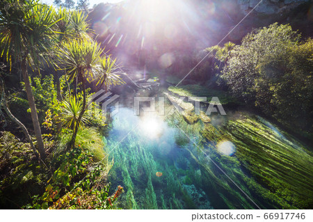 Blue spring Blue spring 66917746