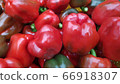 vegetable, fruits, results 66918307