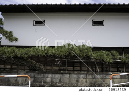 The old house with a pine tree in the plain 66918589