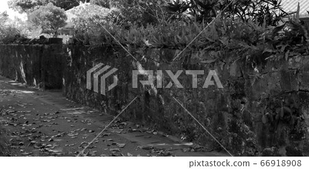 Fence windproof monochrome of a private house in Okinawa Fence windproof monochrome of a private house in Okinawa 66918908