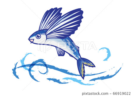Flying fish 66919022