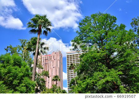 美國聖安東尼奧河遊船 美國聖安東尼奧河遊船 66919507