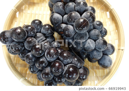 Grapes grapes 66919943