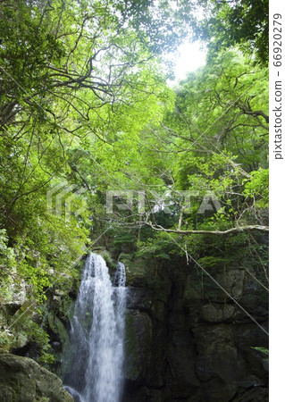 Ayu's Falls (Sumoto City, Hyogo Prefecture) 66920279