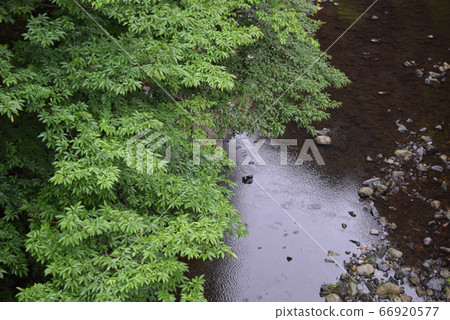 Rain scenery Rain scenery 66920577