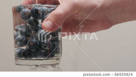 closeup man hands wash blueberries in glass 66920924