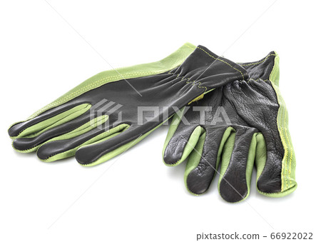 garden gloves in studio 66922022
