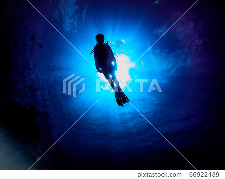 潛水的女人 潛水的女人 66922489