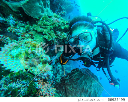 Diving woman 66922499