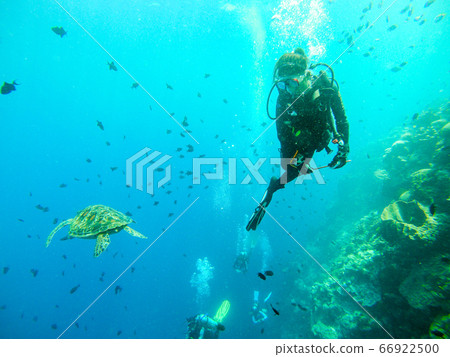 Diving woman 66922500