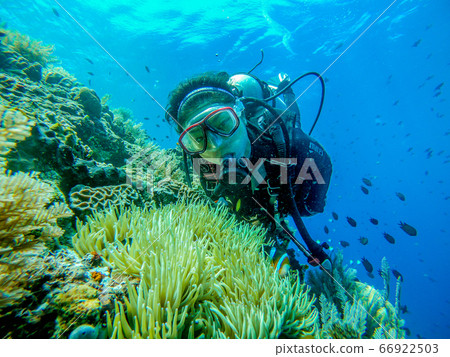 Diving woman 66922503