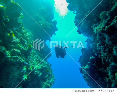 Diving woman 66922552