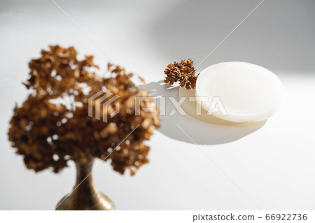Minimalistic white background with geometric shapes and dried flowers. Minimalistic white background with geometric shapes and dried flowers. 66922736