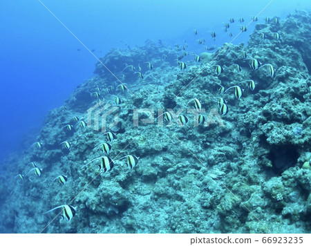 一組隧道 66923235