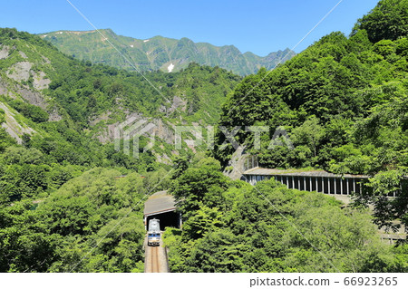 新鮮的綠色Tadami線 新鮮的綠色Tadami線 66923265