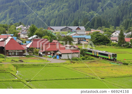 Fresh green Tadami line 66924138