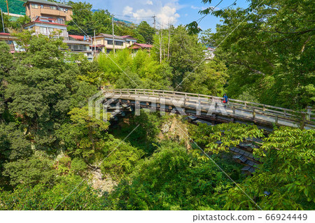 Monkey bridge of fresh green 66924449