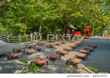 從南面的商店前面可以看到新鮮的綠色Kaibashi和Sannomiya 66924453