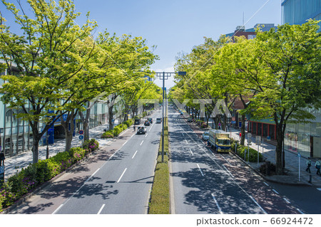 Scenery of Tokyo Harajuku Omotesando Scenery of Tokyo Harajuku Omotesando 66924472
