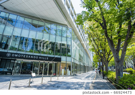 東京原宿表參道的風景 66924473