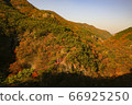 Autumn leaves 66925250
