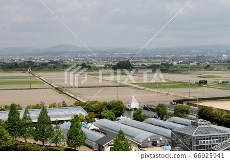 岡山市南村塔的田園風光 66925941