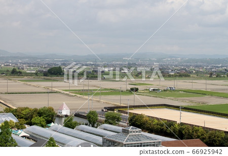 岡山市南村塔的田園風光 66925942