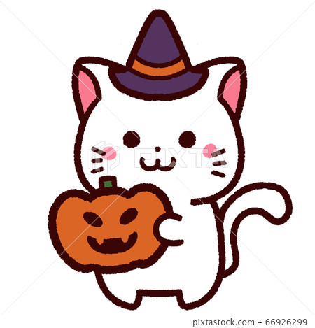 萬聖節可愛的白貓 66926299