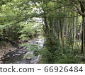 Izu River and bamboo forest 66926484