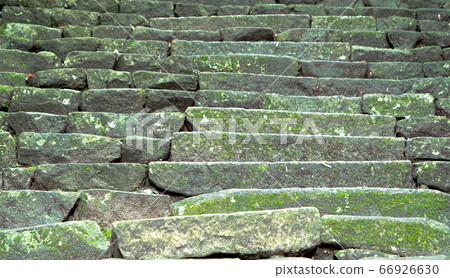 Stone steps overgrown with moss Stone steps overgrown with moss 66926630