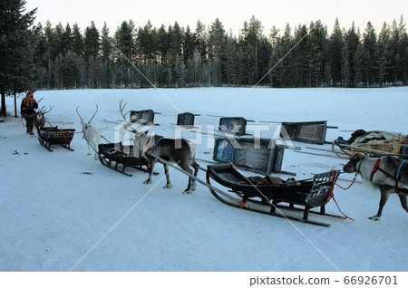 Finland, Luosto, reindeer sledding Finland, Luosto, reindeer sledding 66926701