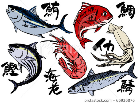 插圖素材 魚 海鮮 手繪 插圖素材 圖庫