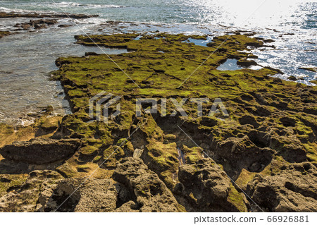 Moss covered rocks off the shores of Bay of Cadiz Moss covered rocks off the shores of Bay of Cadiz 66926881