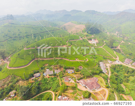 Aerial view of tea plantations near the city of Munar. India. 66927193