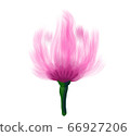 Watercolor pattern. Pink flower petal. watercolor drawing. 66927206