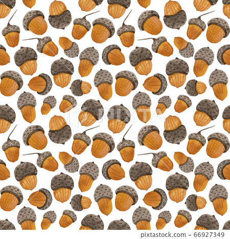 Watercolor seamless pattern with acorns 66927349