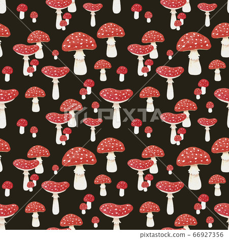 Watercolor seamless pattern with amanita mushroom. White background 66927356