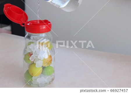 Making plum wine Making plum wine 66927457