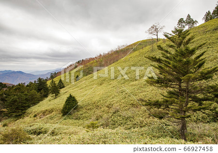 Fujimidai高原 Fujimidai高原 66927458