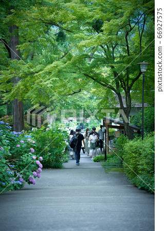 The approach to Kuanji, Ikeda, Osaka The approach to Kuanji, Ikeda, Osaka 66927575