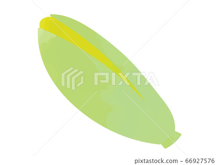 Illustration of corn 66927576