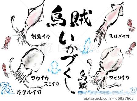 Set of hand drawn squid illustrations and handwritten letters 66927602