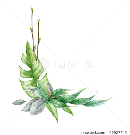 Green leaf bouquet watercolor illustration. Green leaf bouquet watercolor illustration. 66927743