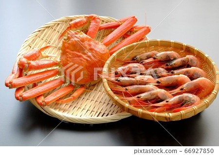 一隻螃蟹 66927850