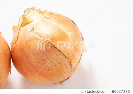 Onions (from Awaji Island, Hyogo Prefecture). (White background) 66927870
