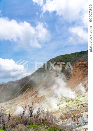 [Kanagawa] Owakudani (June) during the refreshing spring sunshine 66927896