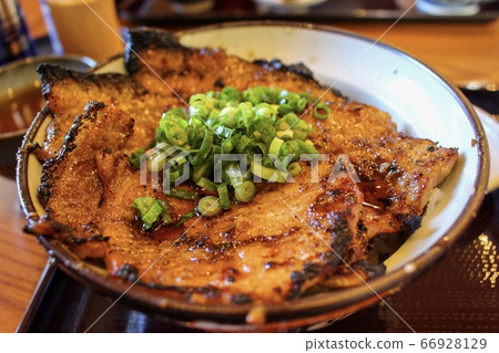 豬肉m固體碗 66928129